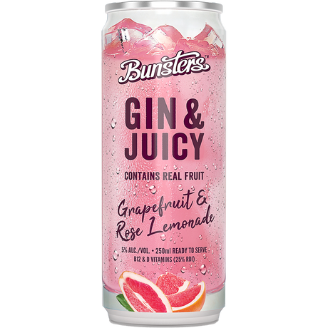Bunsters Gin & Juicy Cans 16x250ml product image.