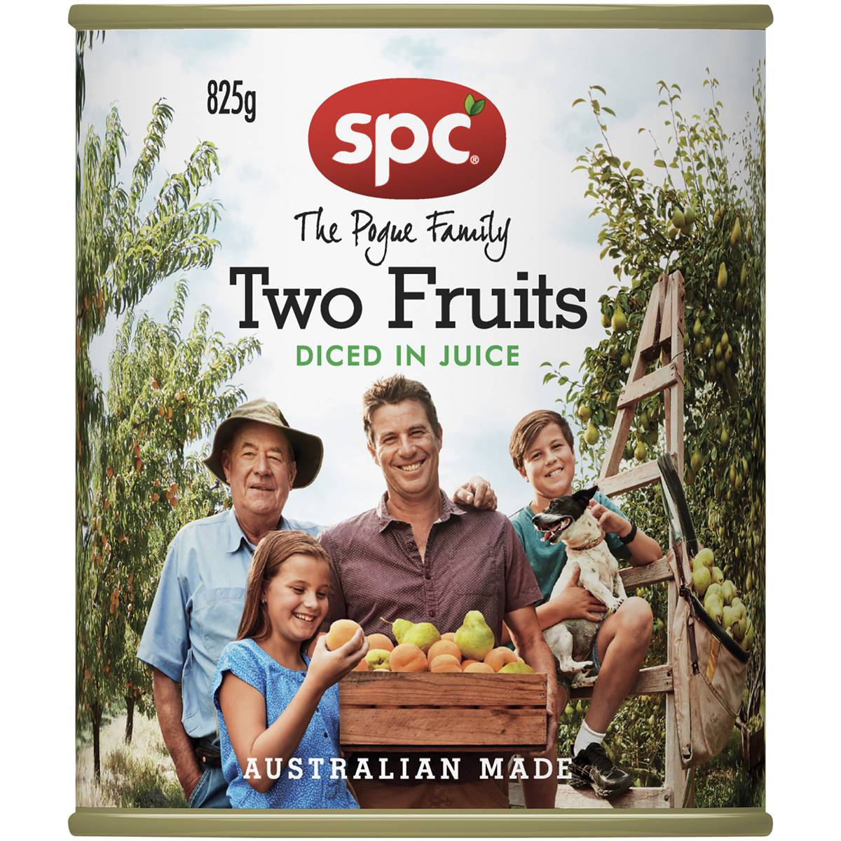 Spc Two Fruits Diced In Juice Canned Fruit 825g